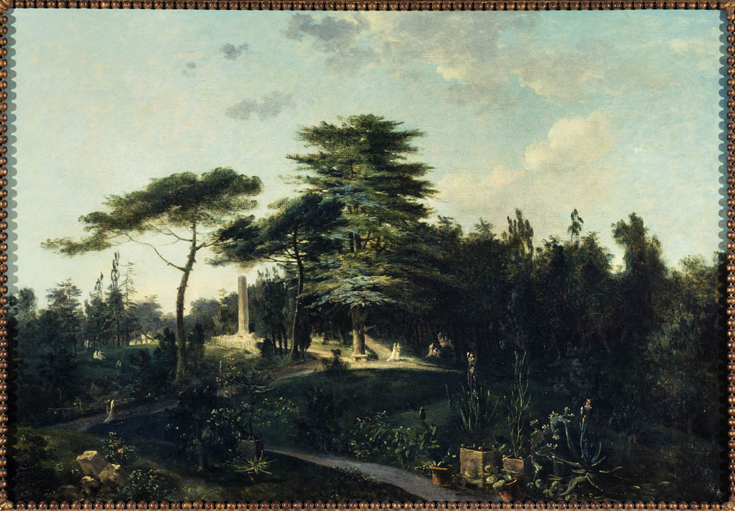 El cedro del Líbano, en el Jardín de Plantas