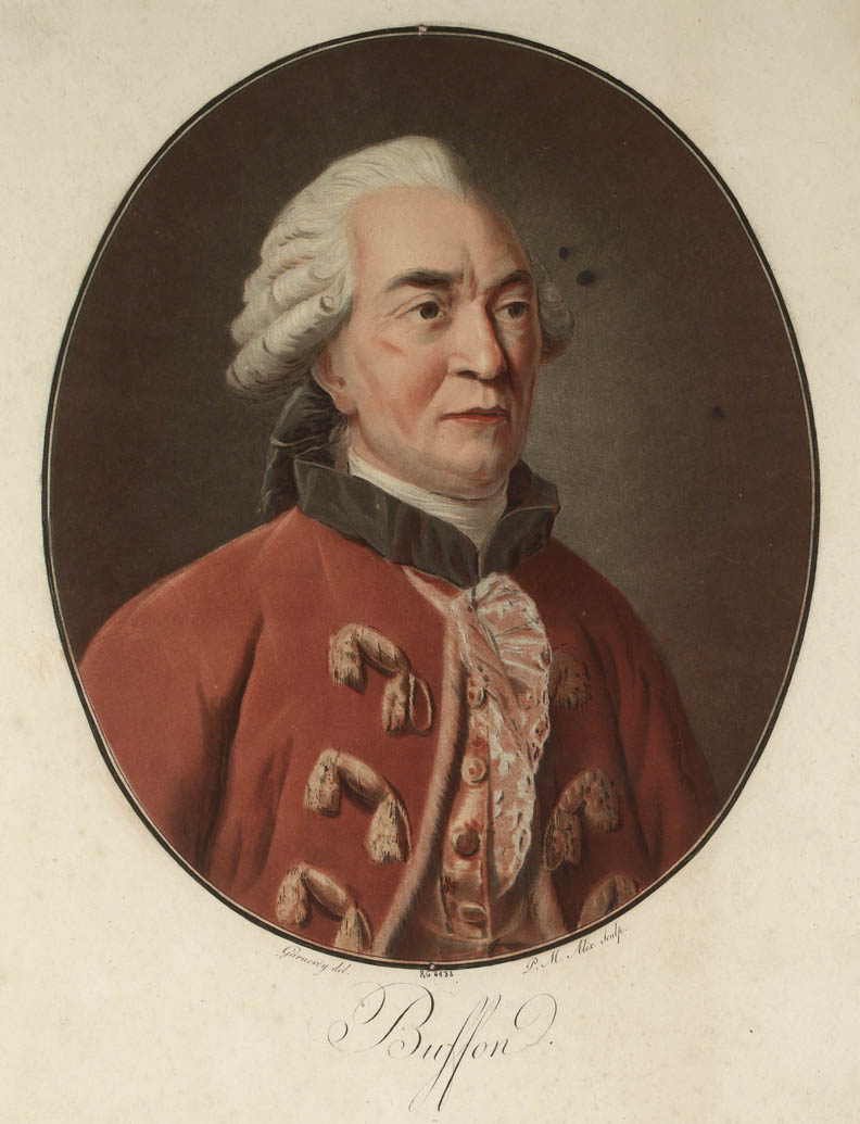 Ritratto di Georges Louis Leclerc (1707-1788), conte di Buffon, naturalista e scrivano