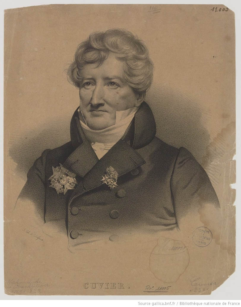 Porträt von Georges Cuvier (1769-1832), Anatomist
